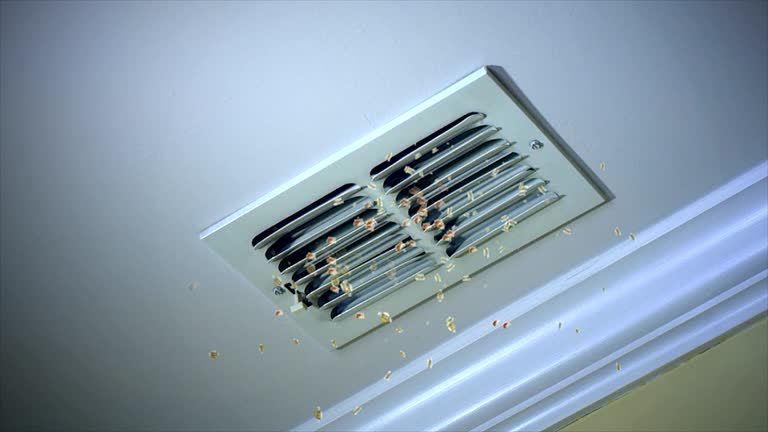 Best Air Duct Cleaning Company Near Me  in Minnetrista, MN