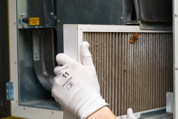Best Best Air Duct Cleaning Company  in Minnetrista, MN