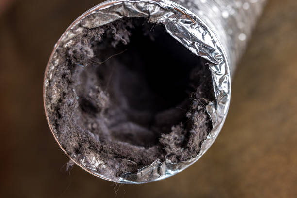 Best HVAC Duct Inspection Services  in Minnetrista, MN