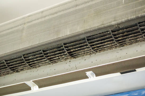 Best Residential Air Duct Cleaning  in Minnetrista, MN