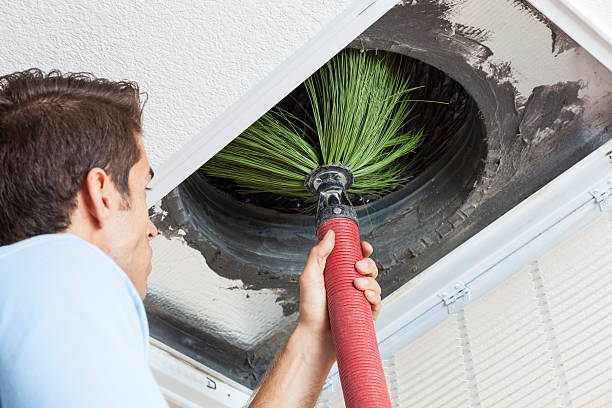 Best Home Air Vent Cleaning  in Minnetrista, MN